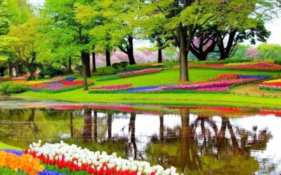Keukenhof Gardens Private Sightseeing Tour