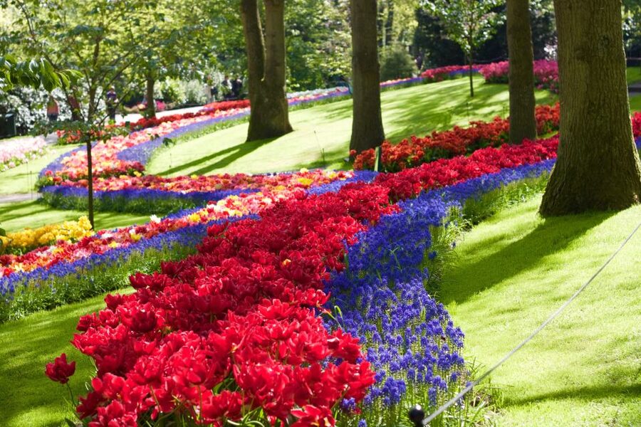 Amsterdam: Keukenhof Ticket with Shuttle Bus + Canal Cruise - Timing, cancellation, and practical value
