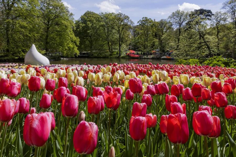 Amsterdam: Keukenhof Ticket with Shuttle Bus + Canal Cruise - Who gets the best value from this ticket?