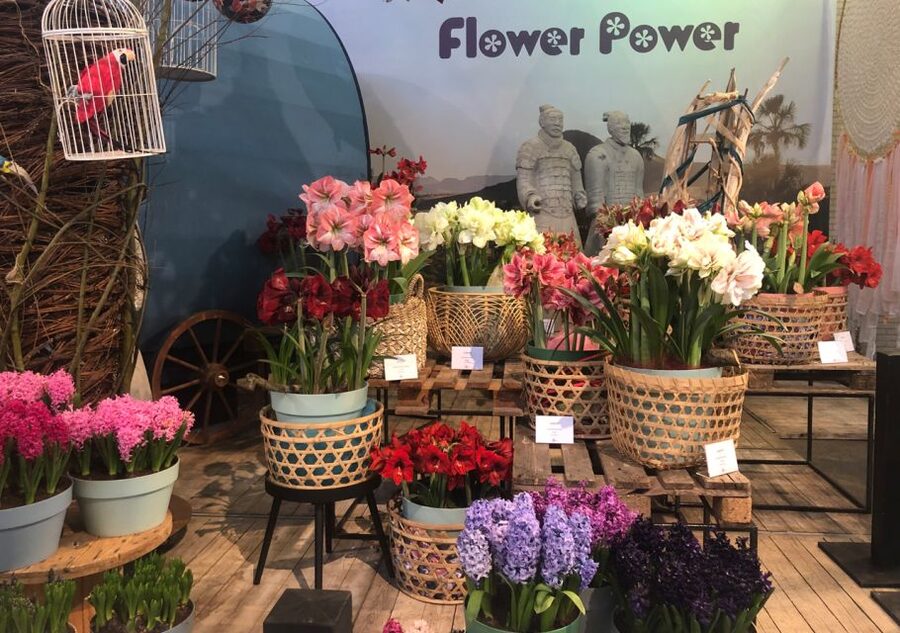 Amsterdam: Keukenhof Tulip Garden and Giethoorn Experience - The long ride to Giethoorn