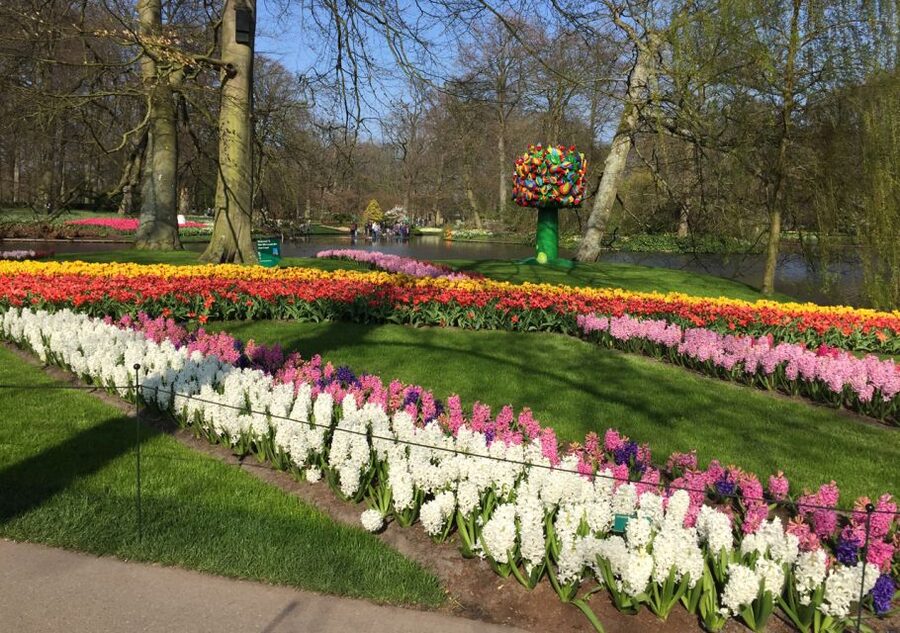 Amsterdam: Keukenhof Tulip Garden and Giethoorn Experience - Leaving Amsterdam from Prins Hendrikkade