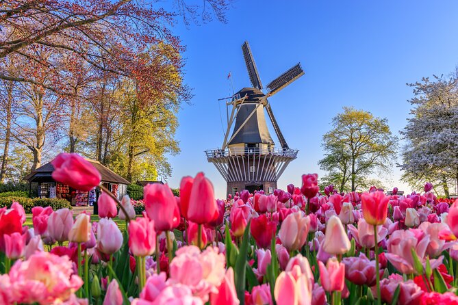Amsterdam: Keukenhof, Zaanse Schans & Volendam Tour - Key points to know before you book