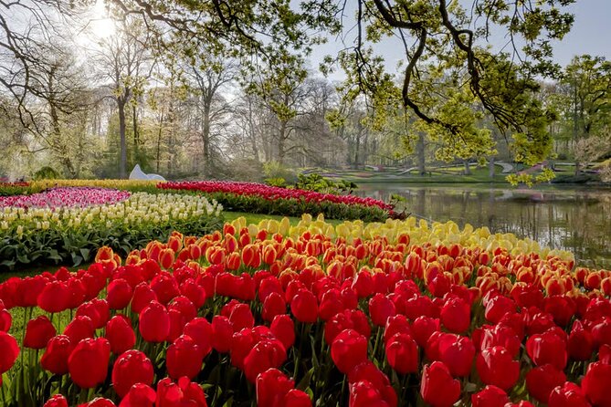 Amsterdam: Keukenhof, Zaanse Schans & Volendam Tour - The biggest practical issue: two tours in one day