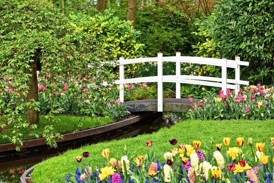 Amsterdam: Keukenhof & Zaanse Schans Windmills Private Tour - A relaxed finish at Henri Willig cheese farm