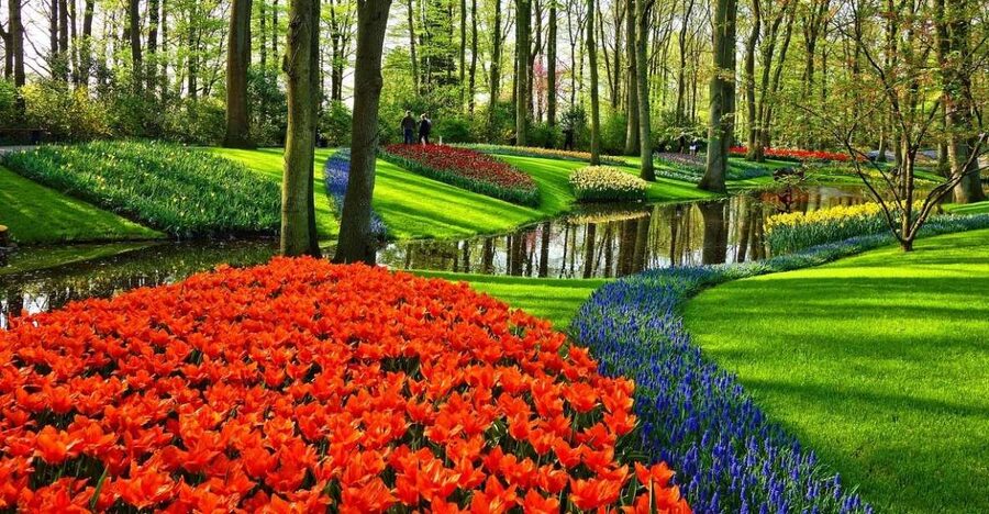Amsterdam: Keukenhof & Zaanse Schans Windmills Private Tour - Timing, crowds, and the real pace of the day
