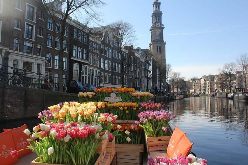 Amsterdam: Premium Tulip Boat Canal Tour - A tulip-filled boat with room to breathe