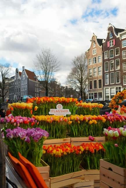 Amsterdam: Premium Tulip Boat Canal Tour - Who should book the Tulip Boat Tour?