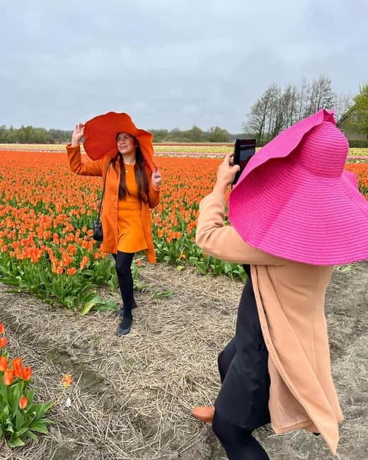 Amsterdam: Private Keukenhof and Free Tulip Tour - Why this private Keukenhof trip works