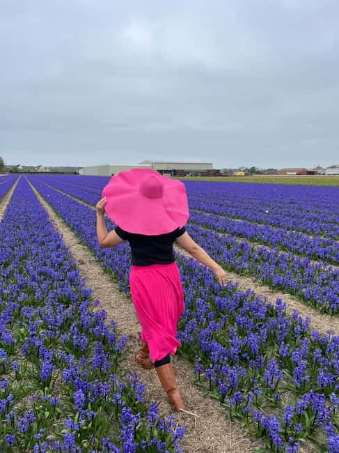 Amsterdam: Private Keukenhof and Free Tulip Tour - From manicured gardens to open tulip fields