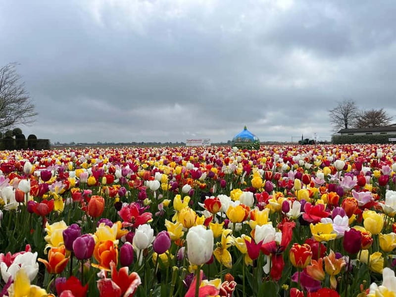 Amsterdam: Private Keukenhof and Free Tulip Tour - How the price adds up