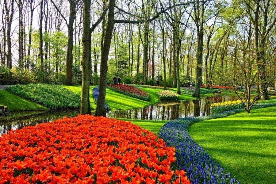 Amsterdam: Private tour Tulips, Keukenhof, Windmill & Cheese - Keukenhof: millions of flowers in a formal garden