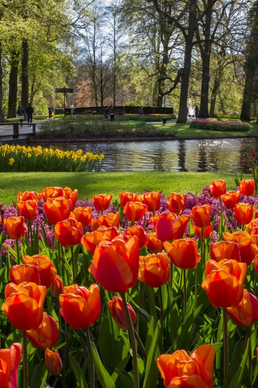 Amsterdam: Tour to Keukenhof Gardens with Windmill Cruise - The luxury coach ride to the water