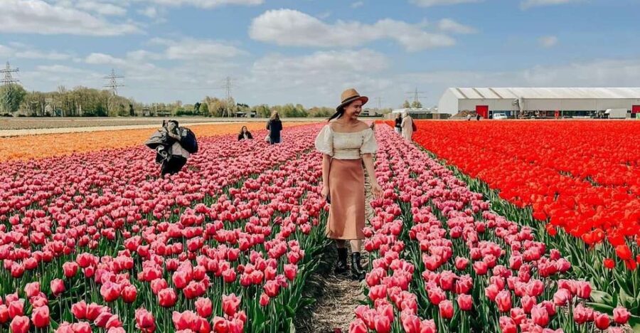 Amsterdam: Tulip Farm Visit, Keukenhof, and Windmill Cruise - Cruising the Kagerplassen windmills