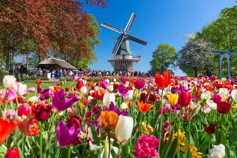 Amsterdam: Tulip Farm Visit, Keukenhof, and Windmill Cruise - Returning to Amsterdam without a rushed exit