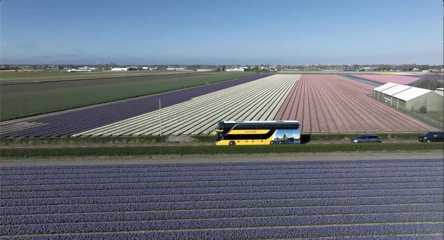 Amsterdam: Tulip Farm Visit, Keukenhof, and Windmill Cruise - Who should book this tour?