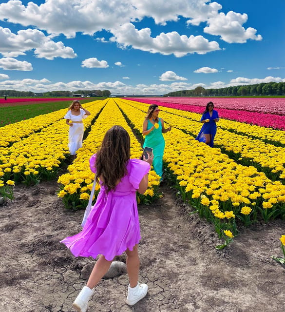 Amsterdam: Tulip Fields Day Tour with Lunch & Windmill - Three fields, changing color, and useful flower facts