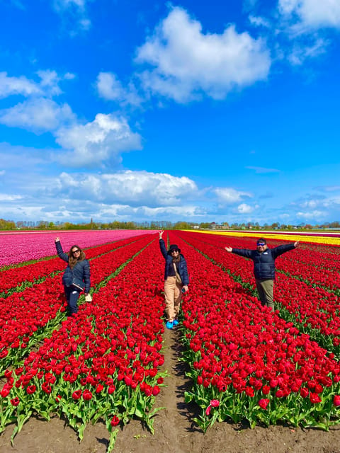 Amsterdam: Tulip Fields Day Tour with Lunch & Windmill - A working windmill from 1633