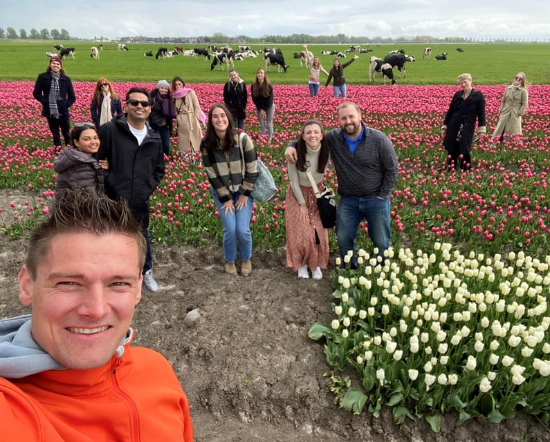 Amsterdam: Tulip Fields Day Tour with Lunch & Windmill - What $143 includes