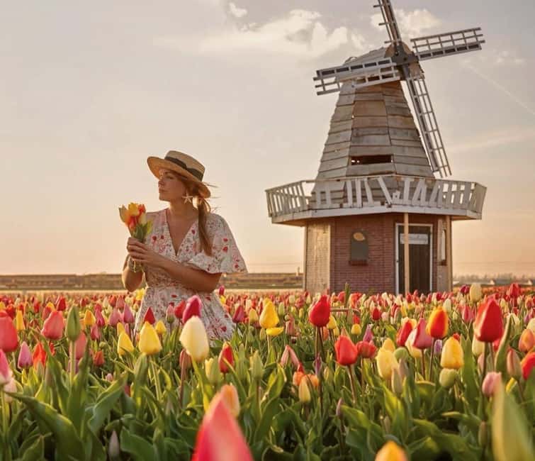 Amsterdam : Tulip Wonderland Tour - The 30-minute ride through South Holland