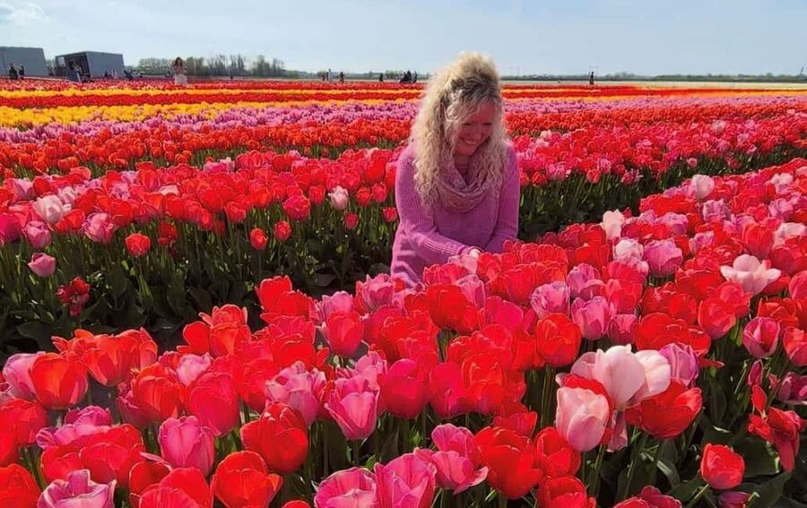 Amsterdam : Tulip Wonderland Tour - Lunch, flowers, and the practical two-hour window