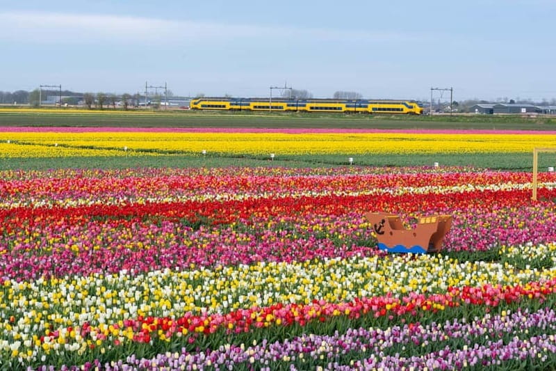Amsterdam : Tulip Wonderland Tour - What the guides add