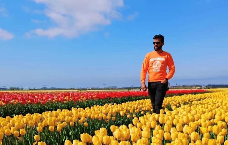 Amsterdam : Tulip Wonderland Tour - Rainy days and comfortable planning