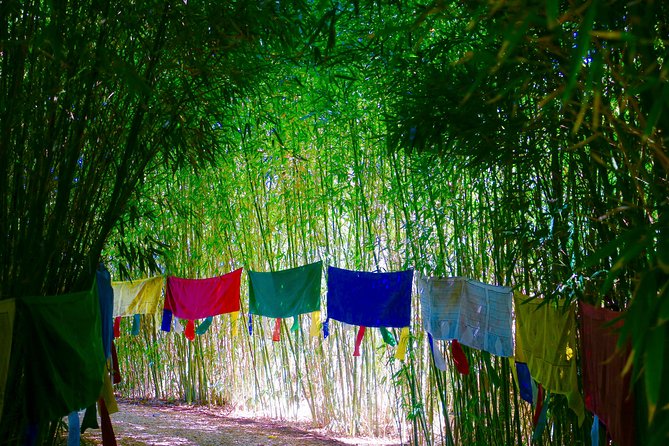 Anima Garden Admission Ticket - Who will enjoy this garden most?