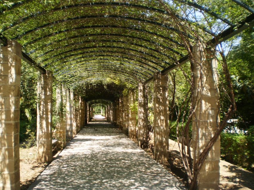 Athens: National Garden 2-Hour Segway Tour - Starting in Plaka and getting comfortable on two wheels