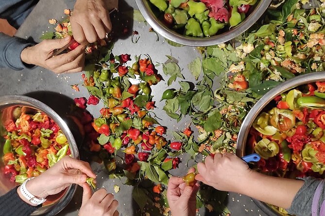 Authentic Garden to Table Cooking Class in Dubrovnik Countryside - Lunch with homemade wine