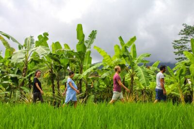 Balinese Vegan Cooking Class with Fresh Harvesting & Garden Tour