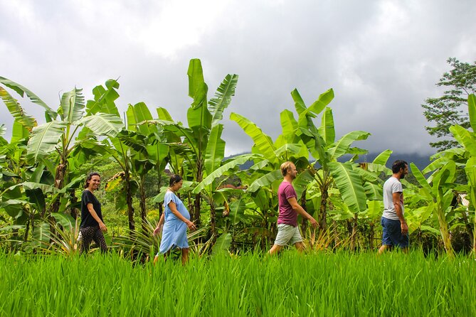Balinese Vegan Cooking Class with Fresh Harvesting & Garden Tour - What happens during the garden walk