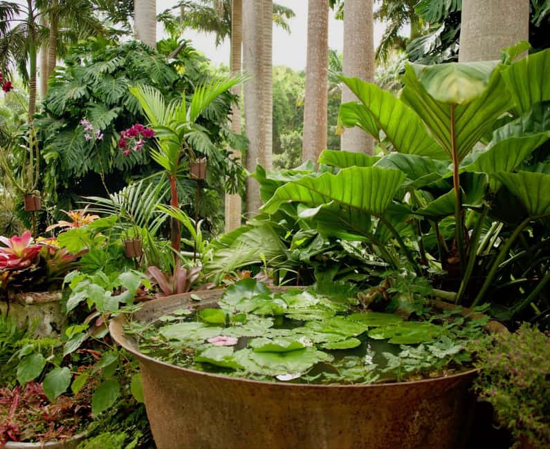 Barbados: Tour of Harrison's Cave & Hunte's Gardens - Walking through Hunte’s Gardens