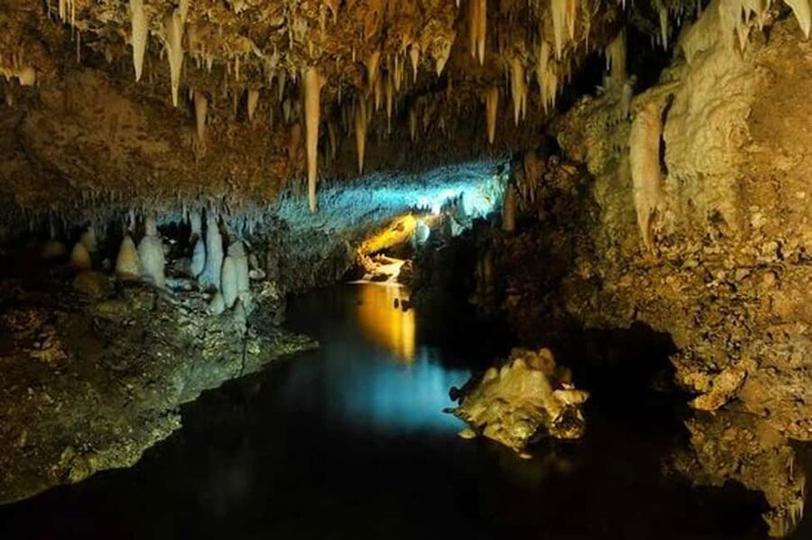 Barbados: Tour of Harrison's Cave & Hunte's Gardens - How the guides affect the experience