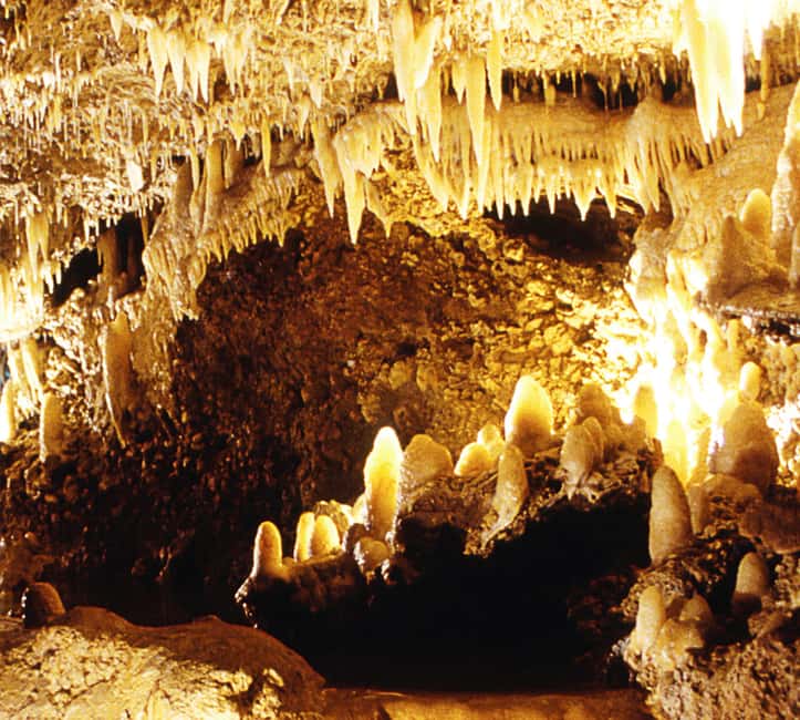 Barbados: Tour of Harrison's Cave & Hunte's Gardens - Who should book this outing?