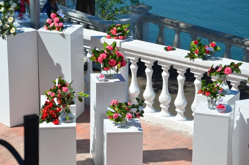 Batumi: Botanical Garden, Petra Fortress and Miniatures Park - Key points to know before you go