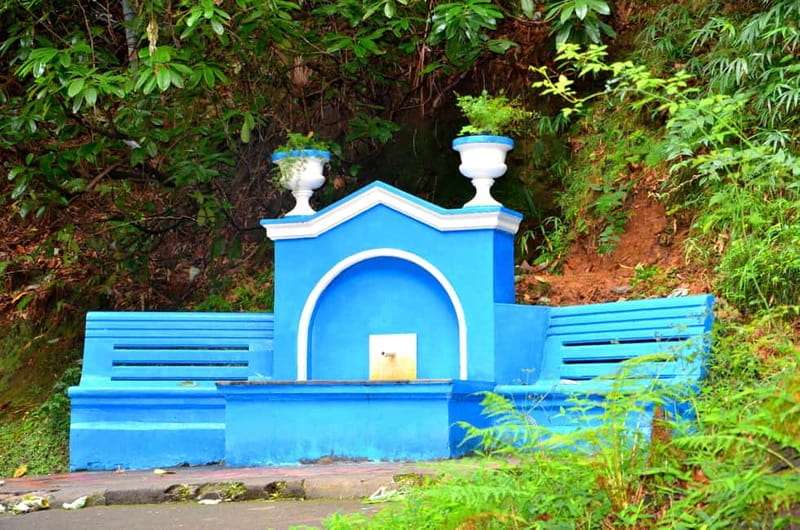 Batumi: Botanical Garden, Petra Fortress and Miniatures Park - Why this Batumi day trip works so well