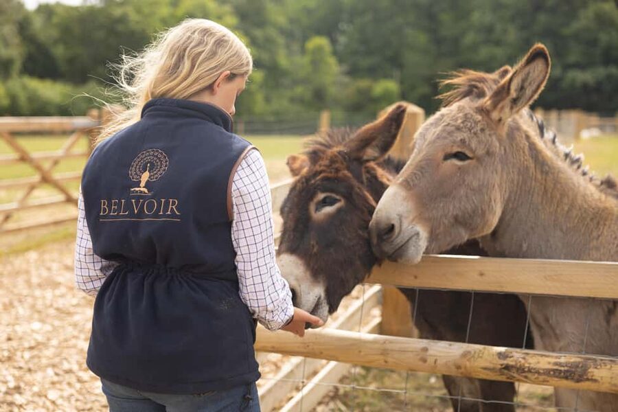 Belvoir Castle: Castle, Gardens and Ground Entry - The Retail Village and Belvoir Bistro