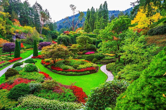Best of Victoria Group Tour w/ Malahat Skywalk & Butchart Gardens - Walking the Malahat Skywalk for 75 minutes