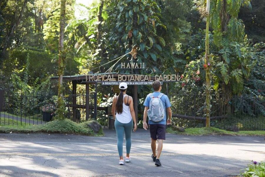Big Island: Waterfall Tour with Swimming & Botanical Garden - A Full Day Built Around Big Island Water
