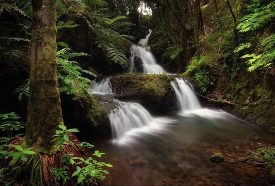 Big Island: Waterfall Tour with Swimming & Botanical Garden - Waipio Valley Lookout and Parker Ranch Country