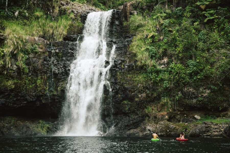 Big Island: Waterfall Tour with Swimming & Botanical Garden - Who Will Enjoy This Day Most