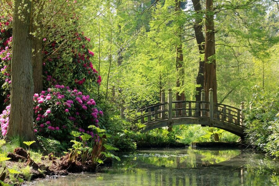 Birmingham: Winterbourne House and Garden Admission Ticket - Taking the house ticket seriously