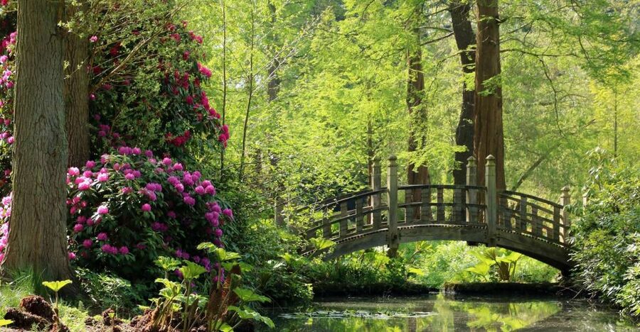 Birmingham: Winterbourne House and Garden Admission Ticket - Seven acres of plants, paths, and quiet corners