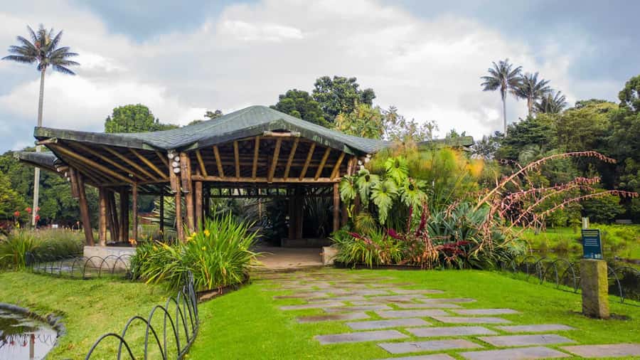 Bogotá: Jose Celestino Botanical Garden and Gudalupe Hill - The orchid collection is the main event