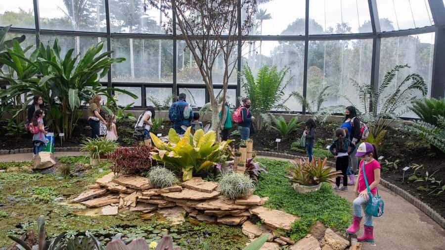 Bogotá: Jose Celestino Botanical Garden and Gudalupe Hill - Why the Bogotá savannah matters