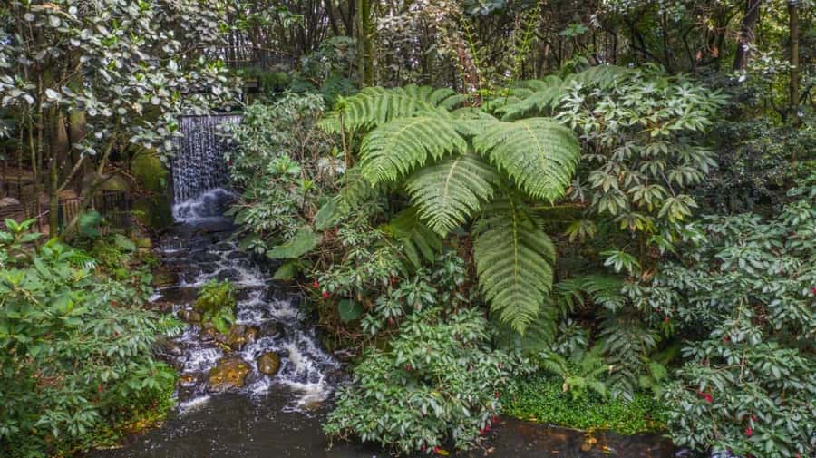 Bogotá: Jose Celestino Botanical Garden and Gudalupe Hill - How the four hours unfold