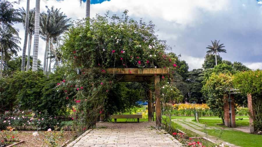 Bogotá: Jose Celestino Botanical Garden and Gudalupe Hill - Walking the garden trails in three hours