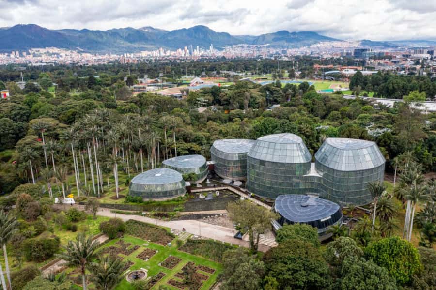 BOGOTA: Visit to the Botanical Garden and Ugly Betty's House - Walking through the José Celestino Mutis Botanical Garden