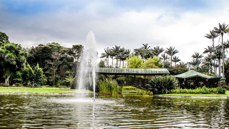 BOGOTA: Visit to the Botanical Garden and Ugly Betty's House - From Colombian ecosystems to television culture