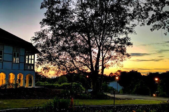 Botanic Gardens & Tiong Bahru Walking Tour with Breakfast - Why the early start is worth it